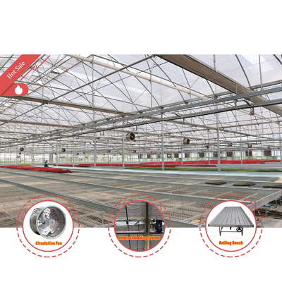 Hoog intensiteits meervoudige boog Plastic film kas Warmdipp gegalvaniseerd staalpijp Landbouw kas
