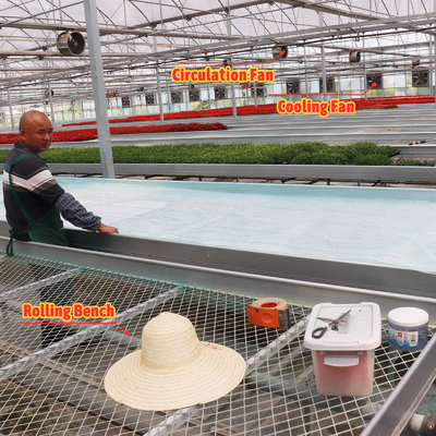 Economisch op maat ontworpen automatisch schaduwstelsel Meervoudige strooienkasten voor groenten en fruit