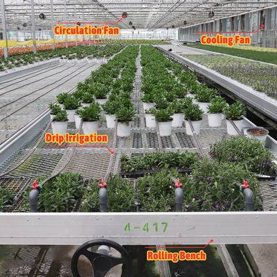 Economisch op maat ontworpen automatisch schaduwstelsel Meervoudige strooienkasten voor groenten en fruit
