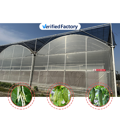 Groentenproductie Landbouwzaad aardbeien Kasten Multi Tunnel