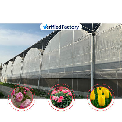 Landbouwtunnelkas Plastic Film Multi-span aardbeienkas te koop met ventilatiesysteem