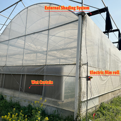 Landbouwtunnelkas Plastic Film Multi-span aardbeienkas te koop met ventilatiesysteem