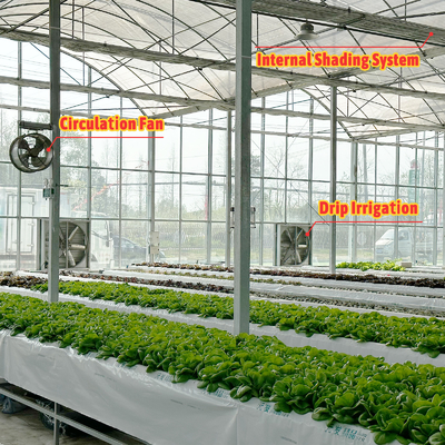 Landbouwtunnelkas Plastic Film Multi-span aardbeienkas te koop met ventilatiesysteem