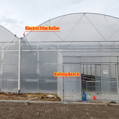 Multi-Span Landbouw kas 6m-12m Breedte met 150/200micron PE-film