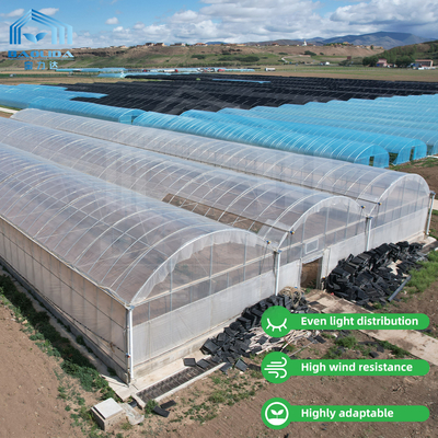 24m x 40m multi-span kas met 150 micron PE film dekking
