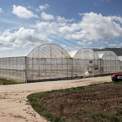 24m x 40m multi-span kas met 150 micron PE film dekking