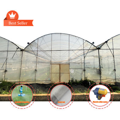 Grote PE-foliekas 50m lengte 7-10m breedte