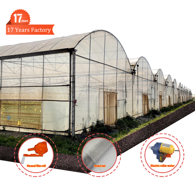 Grote PE-foliekas 50m lengte 7-10m breedte