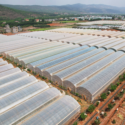 Grote PE-foliekas 50m lengte 7-10m breedte