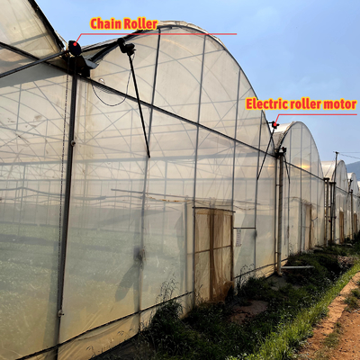 Grote PE-foliekas 50m lengte 7-10m breedte