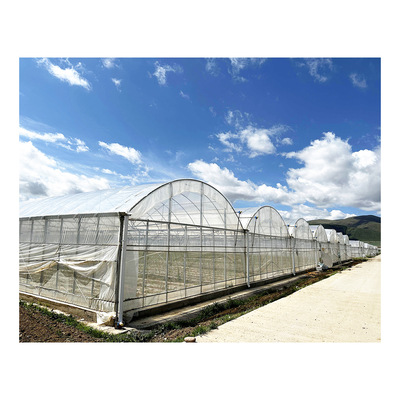 BAOLIDA 24x40m Enkelvoudige Kas met 150 micron PE-folie