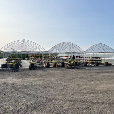 BAOLIDA 24x40m Enkelvoudige Kas met 150 micron PE-folie