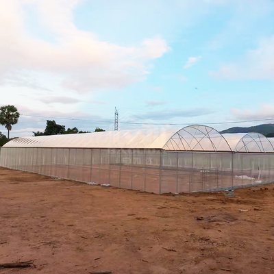 BAOLIDA 24x40m Enkelvoudige Kas met 150 micron PE-folie