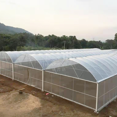 BAOLIDA 24x40m Enkelvoudige Kas met 150 micron PE-folie