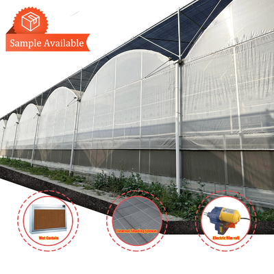 Multi-Span Kas 6,8m Breedte met 100-200micron PE Folie