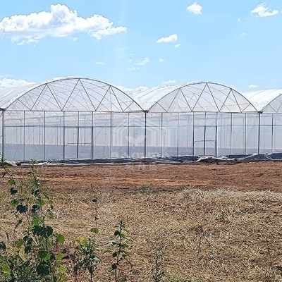 Grote Multi-Span PE Kas 50-100m Lengte 7-10m Breedte