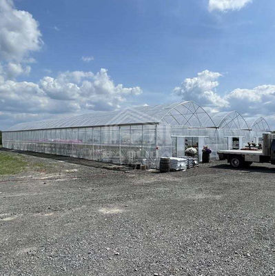 Grote Multi-Span PE Kas 50-100m Lengte 7-10m Breedte