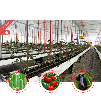 Gegalvaniseerd staal frame kas 6m-12m Span met 150/200micron PE film
