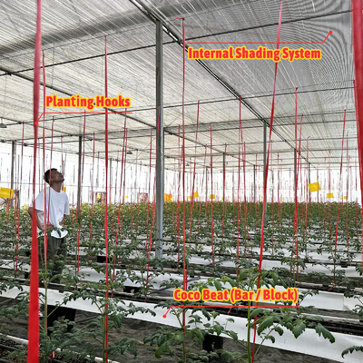 Gegalvaniseerd staal frame kas 6m-12m Span met 150/200micron PE film