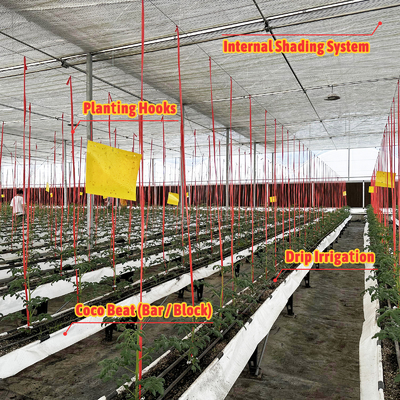 Gegalvaniseerd staal frame kas 6m-12m Span met 150/200micron PE film