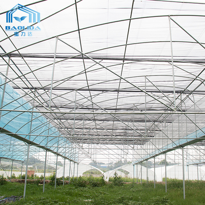 6m-12m Multi-Span PE Film Greenhouse Kit met 10 Jaar Garantie