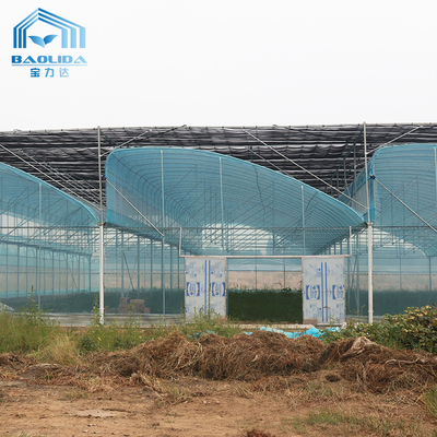 6m-12m Multi-Span PE Film Greenhouse Kit met 10 Jaar Garantie