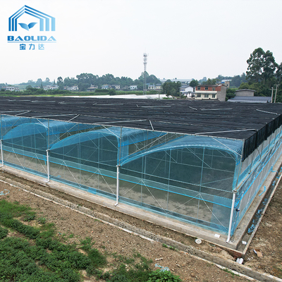 6m-12m Multi-Span PE Film Greenhouse Kit met 10 Jaar Garantie