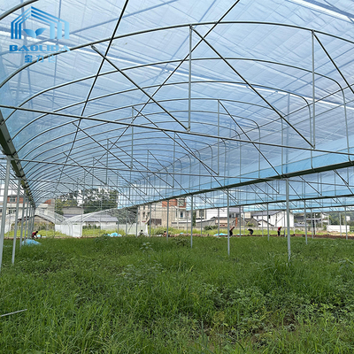Multi-Span Agricultural Greenhouse Kit 6m-12m met 10 jaar garantie