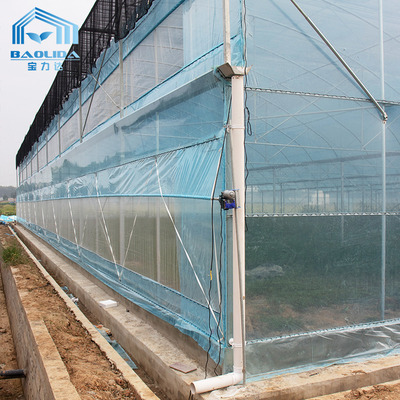 Multi-Span Agricultural Greenhouse Kit 6m-12m met 10 jaar garantie