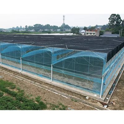 Multi-Span PE Film Kas Kit 6m-12m Breedte 10 Jaar Garantie