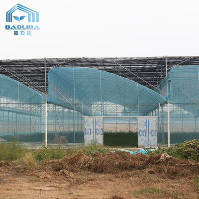 Multi-Span PE Film Kas Kit 6m-12m Breedte 10 Jaar Garantie