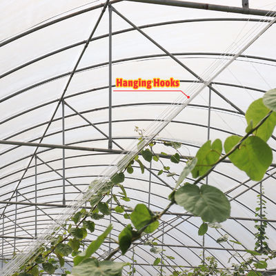 Large Size Rain Shelter Greenhouse with PE Film Covering and Hot Galvanized Steel Frame for Plants Cultivation