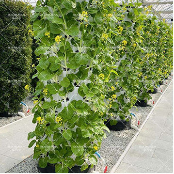 30L 6-laags 48 gaten aeroponische kweek toren tuin verticaal hydrocultuur systeem voor aardbeien