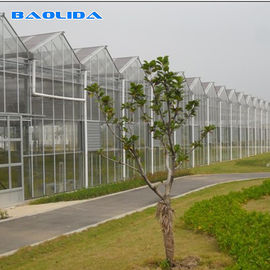 Het commerciële Multi het Type van Venlo van de Spanwijdteserre Glas behandelde Landbouw