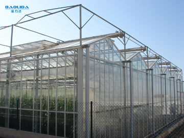 Het commerciële Multi het Type van Venlo van de Spanwijdteserre Glas behandelde Landbouw