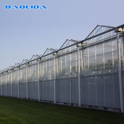 Het Glasserre van Venlo van de landbouw Multispanwijdte voor Tomaat het Planten