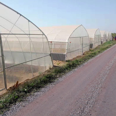 Breedte 8m 9m 10m Tunnel Plastic Serre voor Groenten het Groeien