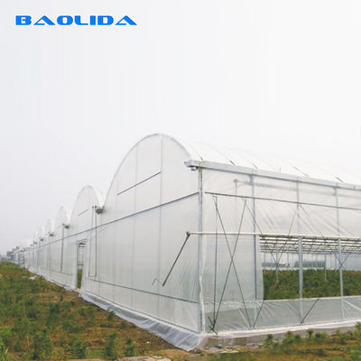 De landbouw plant Groeiend Multispan-Serre Koelsysteem met Bovenkant/Kantenventilatie