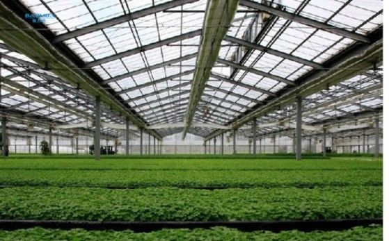 Gegalvaniseerde het Glasserre van Venlo van de Staalpijp Automatische voor Botanische Tuin