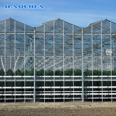 Kanten en Hoogste van het Ventilatiesysteem Behandelde Venlo het Type van Multispan Glas Serre
