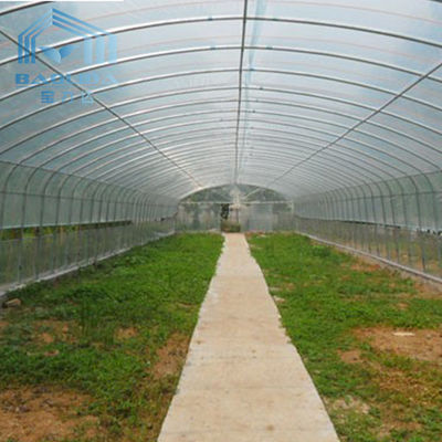 Landbouwinstallaties die van de de Film Enige Spanwijdte van het de Landbouwpolyethyleen de Tunnel Plastic Serre kweken