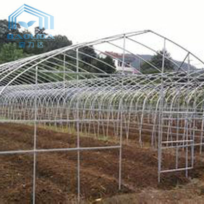 De Spanwijdte van Polytunnelsri lanka Colombo Steel Frame Greenhouse Single