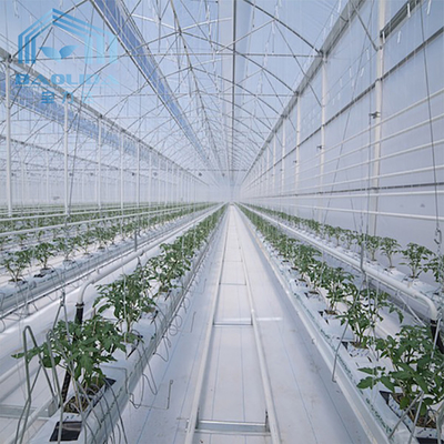 Tunnelkasten gegalvaniseerde staalframe structuur Pipe PE UV Plastic Film Vergetables Single-span kasten