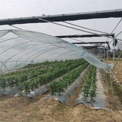 De hoge Schuilplaats van de de Aardbeienregen van de Opbrengst Plastic Film Landbouwserre Gekweekte
