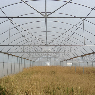 De hoge Tunnel Landbouwserre van de de Landbouw Multispanwijdte voor Bloemen het Groeien