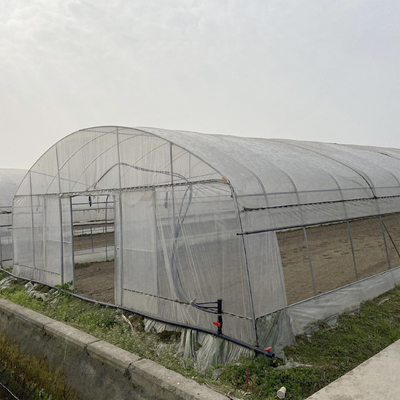 Tunnelkasten gegalvaniseerde staalframe structuur Pipe PE UV Plastic Film Vergetables Single-span kasten