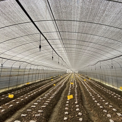 De dubbele Serre Zwart Mesh Mushroom Cultivation In Greenhouses van de Laag Enige Spanwijdte